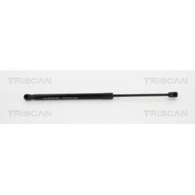 Heckklappendämpfer 8710 18232 von TRISCAN günstig für 31,44 € online kaufen