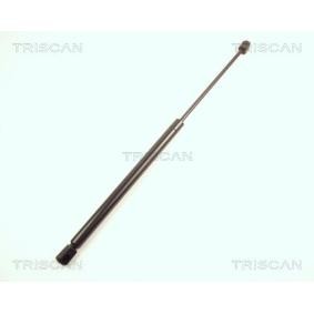 Heckklappendämpfer 8710 23205 von TRISCAN günstig für 30,50 € online kaufen