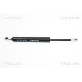 Heckklappendämpfer 8710 23214 von TRISCAN günstig für 42,76 € online kaufen