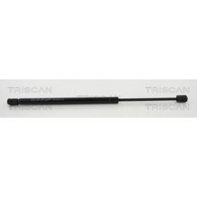 Heckklappendämpfer 8710 23222 von TRISCAN günstig für 36,26 € online kaufen