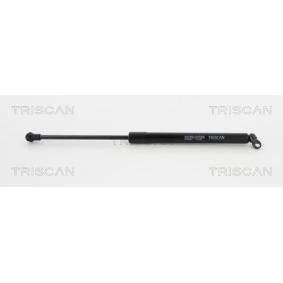 Heckklappendämpfer 8710 23235 von TRISCAN günstig für 66,51 € online kaufen