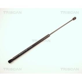 Heckklappendämpfer 8710 24218 von TRISCAN günstig für 20,28 € online kaufen