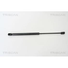 Heckklappendämpfer 8710 24228 von TRISCAN günstig für 29,73 € online kaufen