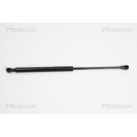 Heckklappendämpfer 8710 24233 von TRISCAN günstig für 20,68 € online kaufen