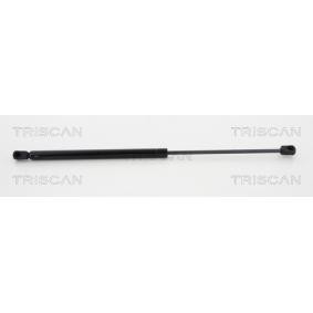 Heckklappendämpfer 8710 24241 von TRISCAN günstig für 17,63 € online kaufen