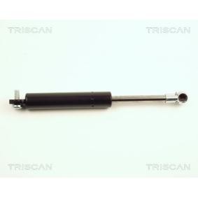 Heckklappendämpfer 8710 25212 von TRISCAN günstig für 17,99 € online kaufen