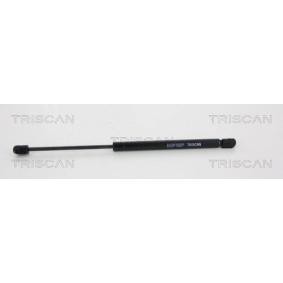 Heckklappendämpfer 8710 25226 von TRISCAN günstig für 24,35 € online kaufen