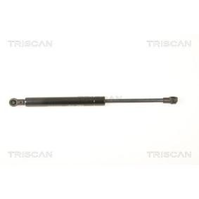 Heckklappendämpfer 8710 25249 von TRISCAN günstig für 17,88 € online kaufen