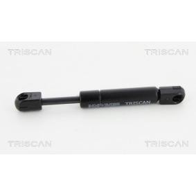 Heckklappendämpfer 8710 25262 von TRISCAN günstig für 18,50 € online kaufen