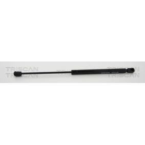 Heckklappendämpfer 8710 25263 von TRISCAN günstig für 19,00 € online kaufen