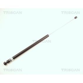 Motorhaubendämpfer für VW von TRISCAN