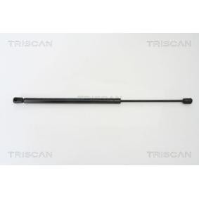 Motorhaubendämpfer für VW von TRISCAN