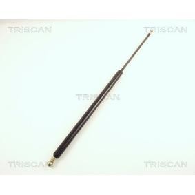 Heckklappendämpfer 8710 38209 von TRISCAN günstig für 26,98 € online kaufen