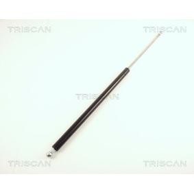 Heckklappendämpfer 8710 38210 von TRISCAN günstig für 59,05 € online kaufen