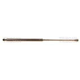 Heckklappendämpfer 8710 38214 von TRISCAN günstig für 28,44 € online kaufen