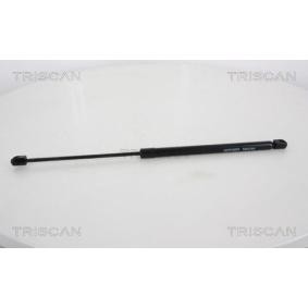 Heckklappendämpfer 8710 38227 von TRISCAN günstig für 62,79 € online kaufen