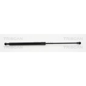Heckklappendämpfer 8710 38233 von TRISCAN günstig für 29,94 € online kaufen