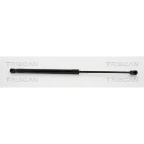 Heckklappendämpfer 8710 38234 von TRISCAN günstig für 20,27 € online kaufen