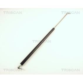 Heckklappendämpfer 8710 40202 von TRISCAN günstig für 19,16 € online kaufen