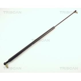 Heckklappendämpfer 8710 40208 von TRISCAN günstig für 17,74 € online kaufen