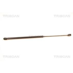 Heckklappendämpfer 8710 40218 von TRISCAN günstig für 13,53 € online kaufen