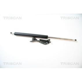 Heckklappendämpfer für HONDA von TRISCAN