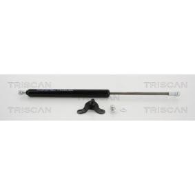 Heckklappendämpfer 8710 40233 von TRISCAN günstig für 22,96 € online kaufen