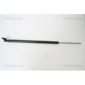 Compre Amortiguador de maletero de TRISCAN online para H100 Autobús (P) a precios moderados