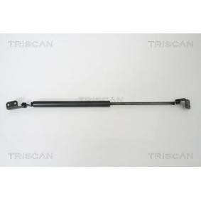 Compre Amortecedor da mala de TRISCAN online para TERRACAN (HP) a preços moderados