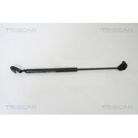 Compre Amortecedor da mala de TRISCAN online para TERRACAN (HP) a preços moderados