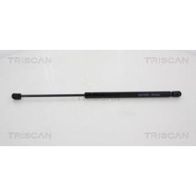 Heckklappendämpfer 8710 43228 von TRISCAN günstig für 30,20 € online kaufen