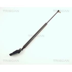 Heckklappendämpfer 8710 50205 von TRISCAN günstig für 24,14 € online kaufen