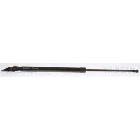 Heckklappendämpfer 8710 50213 von TRISCAN günstig für 30,10 € online kaufen