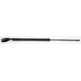 Heckklappendämpfer 8710 50214 von TRISCAN günstig für 30,69 € online kaufen