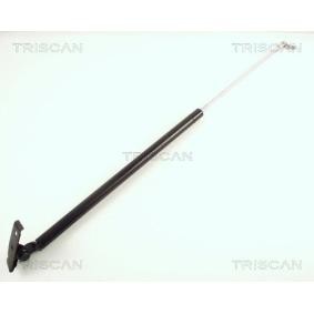 Heckklappendämpfer 8710 50216 von TRISCAN günstig für 15,52 € online kaufen