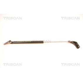 Heckklappendämpfer 8710 50232 von TRISCAN günstig für 30,64 € online kaufen