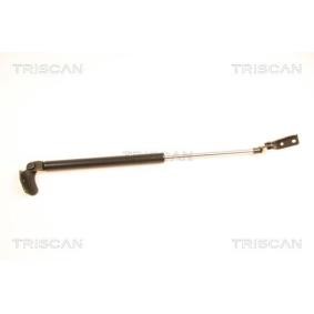 Heckklappendämpfer 8710 50233 von TRISCAN günstig für 18,25 € online kaufen