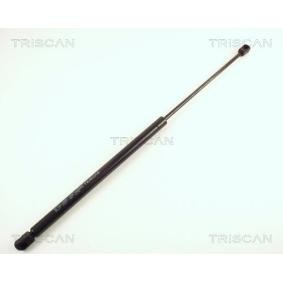 Heckklappendämpfer 8710 65201 von TRISCAN günstig für 62,98 € online kaufen