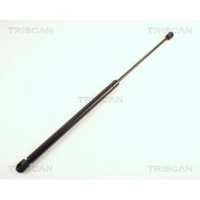 Heckklappendämpfer 8710 65202 von TRISCAN günstig für 62,98 € online kaufen