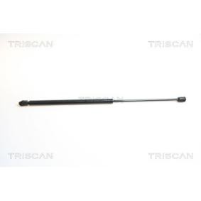 Heckklappendämpfer 8710 65206 von TRISCAN günstig für 26,20 € online kaufen