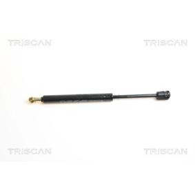 Heckklappendämpfer 8710 65207 von TRISCAN günstig für 28,99 € online kaufen