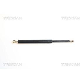 Heckklappendämpfer 8710 65208 von TRISCAN günstig für 72,08 € online kaufen