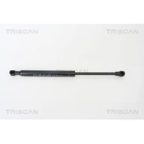 Heckklappendämpfer 8710 65209 von TRISCAN günstig für 29,58 € online kaufen