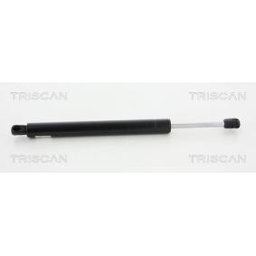 Heckklappendämpfer 8710 65210 von TRISCAN günstig für 31,73 € online kaufen