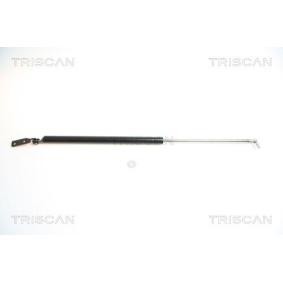 Heckklappendämpfer für SUBARU von TRISCAN