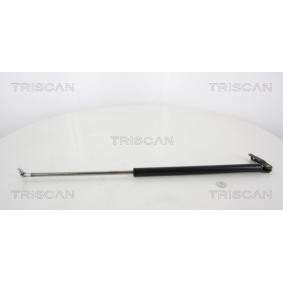 Heckklappendämpfer 8710 68206 von TRISCAN günstig für 26,78 € online kaufen