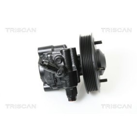 Heckklappendämpfer für SUBARU von TRISCAN