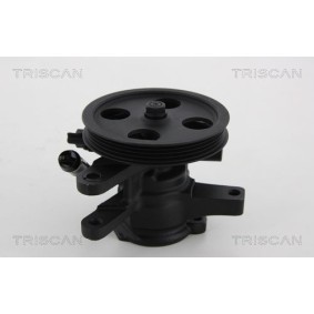 Heckklappendämpfer 8710 68212 von TRISCAN günstig für 28,47 € online kaufen