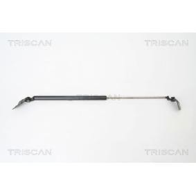 Heckklappendämpfer 8710 69214 von TRISCAN günstig für 28,28 € online kaufen