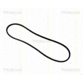 Fahrwerksfeder 8750 1331 von TRISCAN günstig für 45,51 € online kaufen
